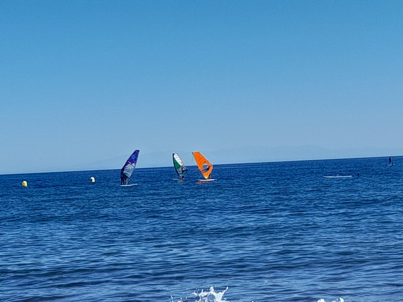 Windsurfing i kraftig vind